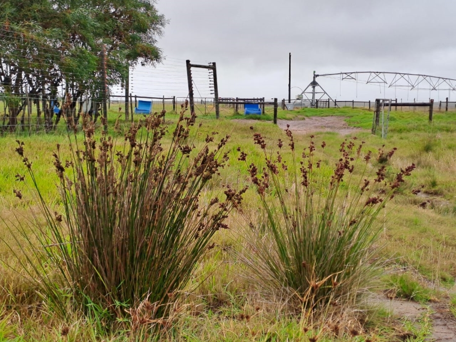 Commercial Property for Sale in St Francis Bay Rural Eastern Cape